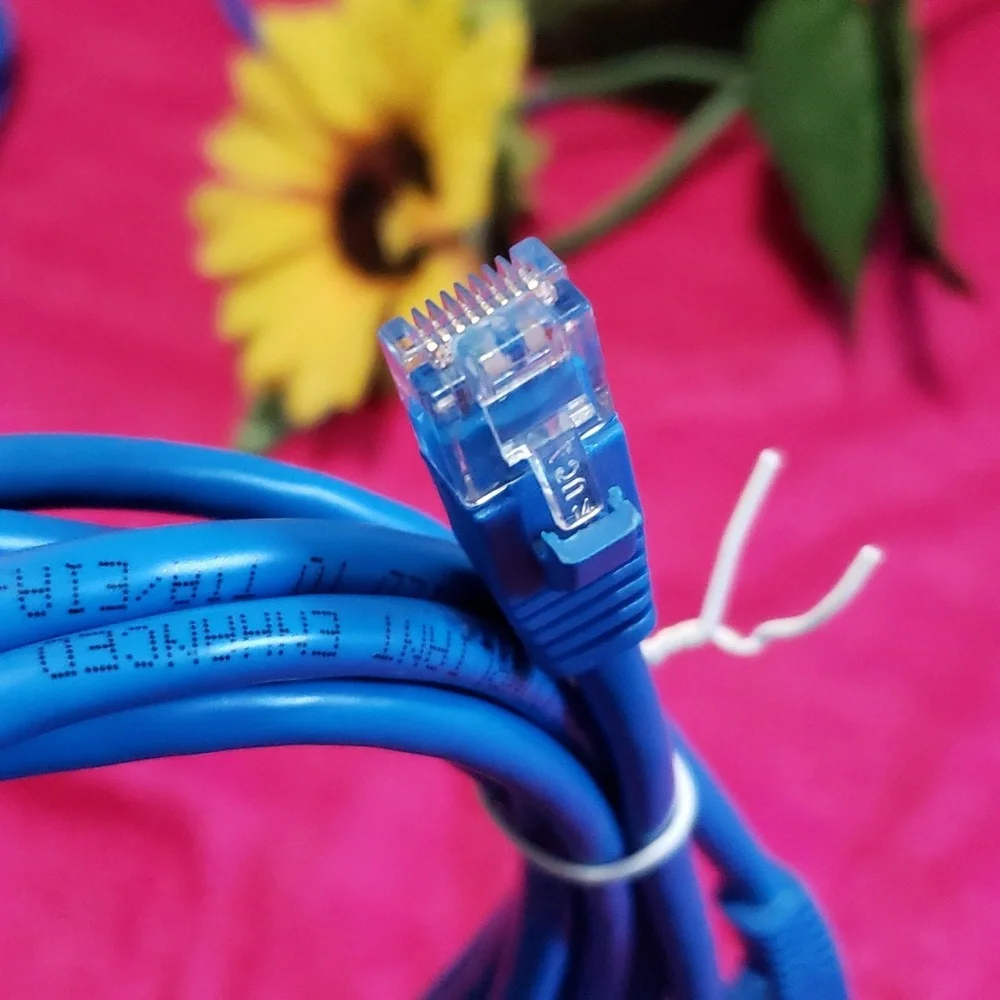 Cat 5e 10' patch cord Blue 